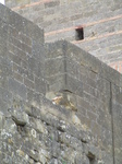 SX28399 Kestrel (Falco tinnunculus) on castle.jpg